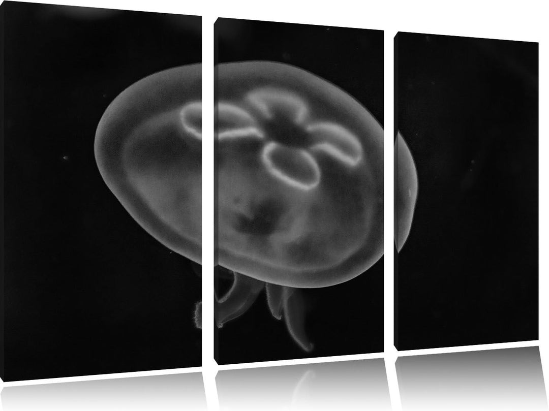 Pixxprint Monocrome, Leuchtend Blaue Qualle 3-Teiler Leinwandbild 120x80 Bild auf Leinwand