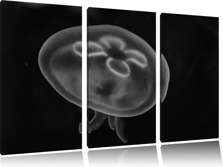 Pixxprint Monocrome, Leuchtend Blaue Qualle 3-Teiler Leinwandbild 120x80 Bild auf Leinwand