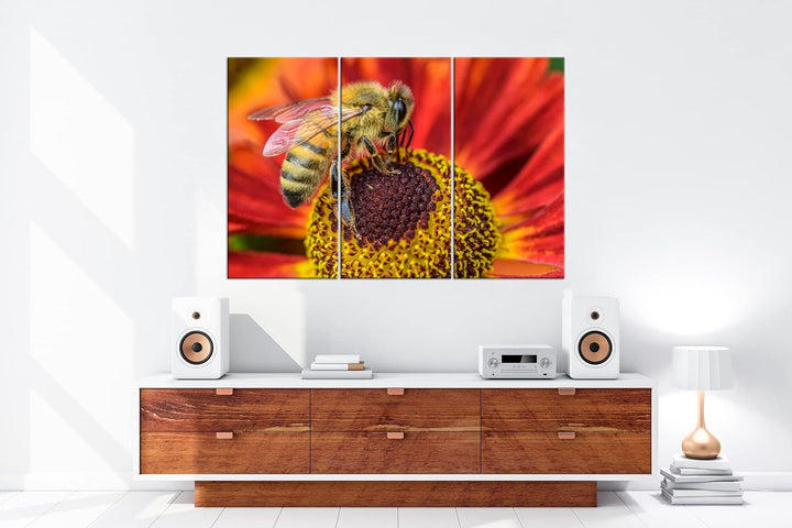 deyoli Biene beim Pollen sammeln Format: 3Teilig als Leinwandbild, Motiv fertig gerahmt auf Echtholz