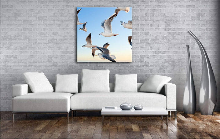 deyoli fliegen Möwen über Küste im Format: 70x70 als Leinwandbild, Motiv fertig gerahmt auf Echtholz