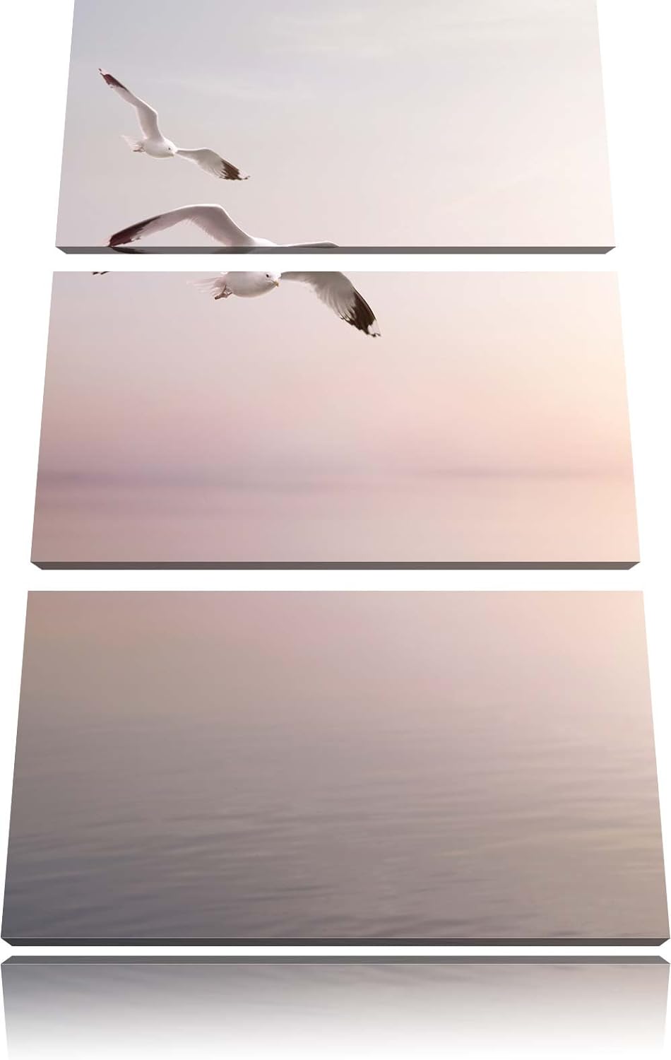 Pixxprint Möwen am Meer bei Sonnenaufgang als Leinwandbild/Grösse: 3 Teilig (120x80) cm/Wandbild/Kun