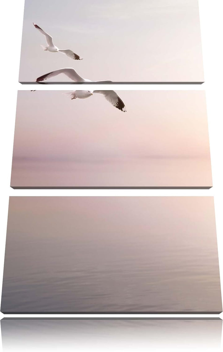 Pixxprint Möwen am Meer bei Sonnenaufgang als Leinwandbild/Grösse: 3 Teilig (120x80) cm/Wandbild/Kun