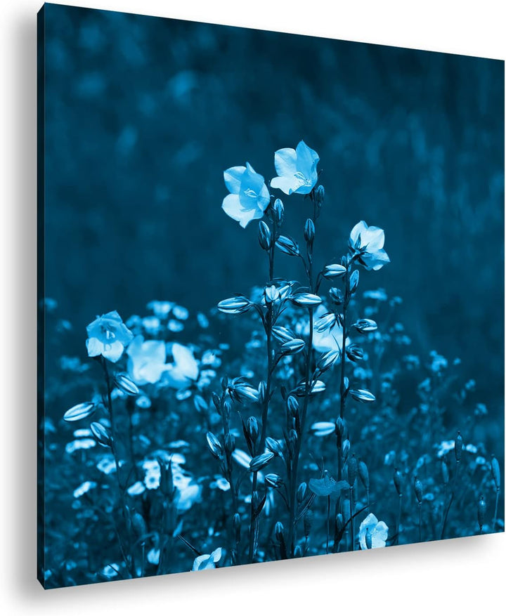 deyoli Zauberhafte Wiesenblumen Format: 60x60 Effekt: Monocrome Blau als Leinwandbild, Motiv fertig