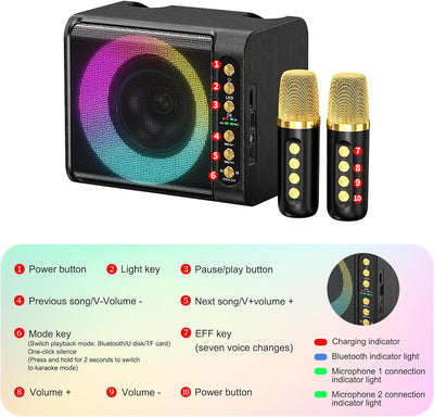 Karaoke Anlage mit 2 Drahtlosen Mikrofonen, 9D Tragbare Bluetooth Karaoke Maschine, Karaoke PA-Syste