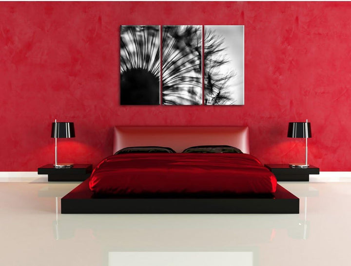 Pixxprint Pusteblume vor Hintergrund als Leinwandbild/Grösse: 3 Teilig (120x80) cm/Wandbild/Kunstdru
