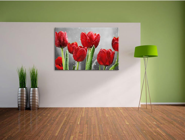 Pixxprint Rote Tulpen mit Tropfen bedeckt als Leinwandbild/Grösse: 100x70 cm/Wandbild/Kunstdruck/fer
