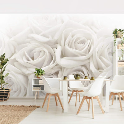 Vliestapete Weisse Rosen Premium, Grösse: 225cm x 336cm, 225cm x 336cm