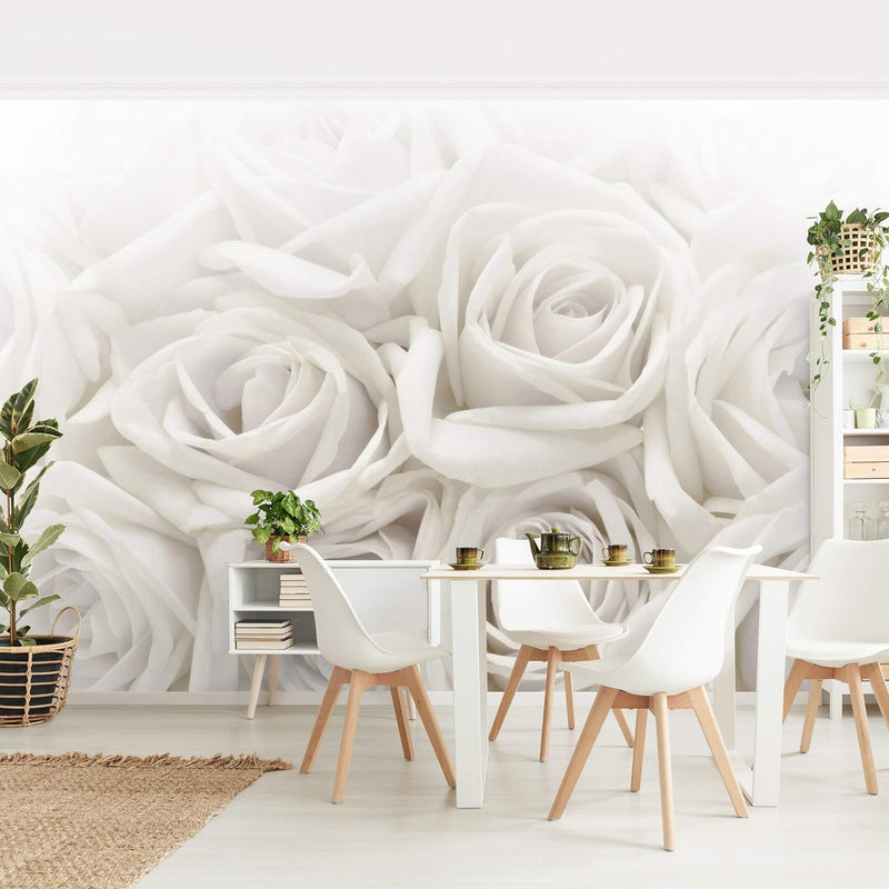 Vliestapete Weisse Rosen Premium, Grösse: 225cm x 336cm, 225cm x 336cm