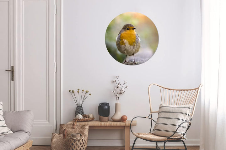 MuchoWow Wandbild Rund Wanddeko Deko Wohnzimmer Bilder 60x60 cm Vögel - Rotkehlchen - Baum, 60x60 cm