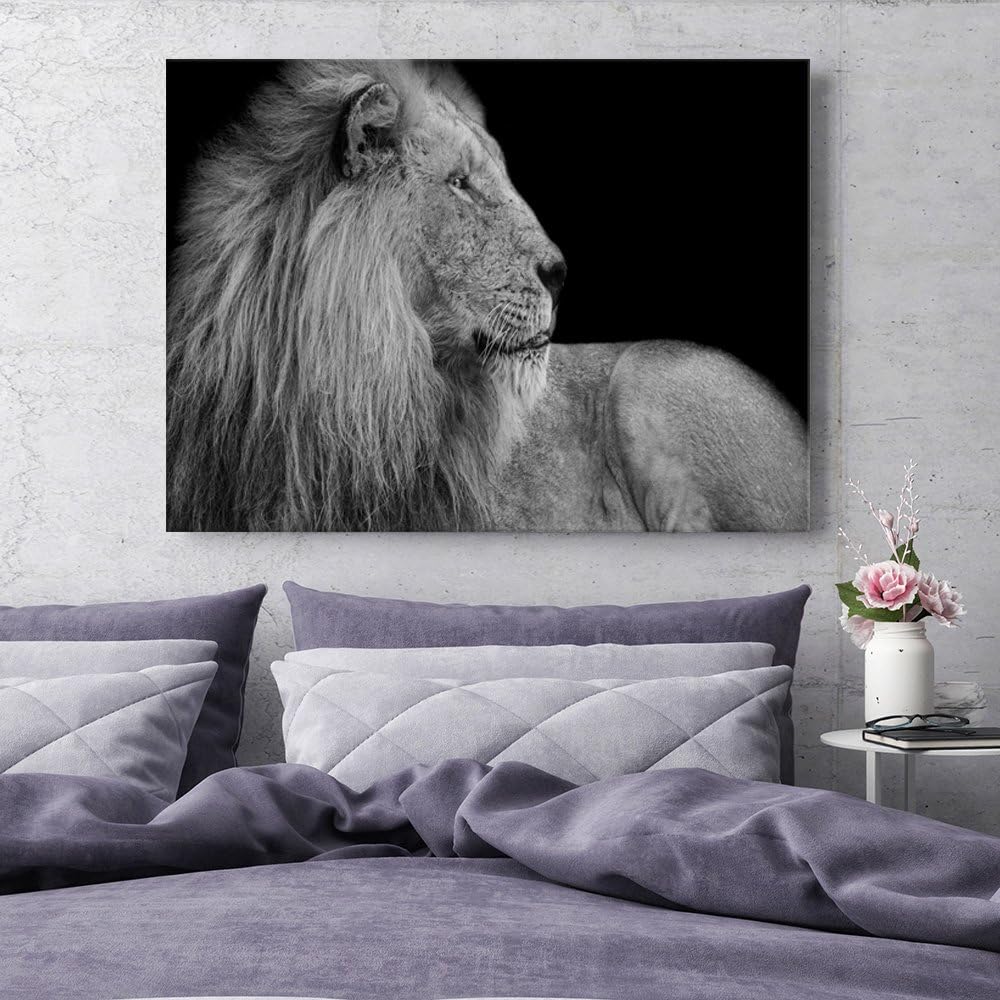 Feeby. Wandbilder - 1 Teilig- 70x100 cm - Bilder Kunstdrucke Deko Panel, LÖWE, NATUR, SCHWARZ UND WE