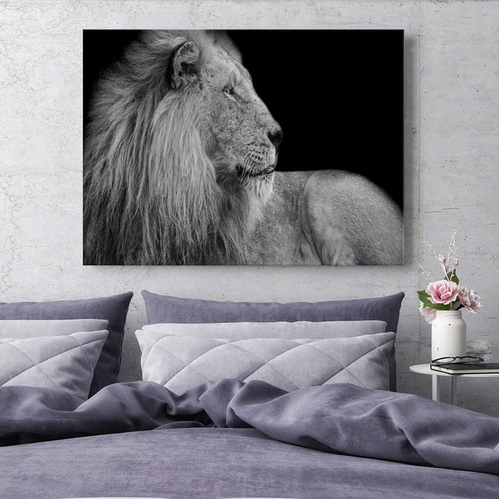 Feeby. Wandbilder - 1 Teilig- 70x100 cm - Bilder Kunstdrucke Deko Panel, LÖWE, NATUR, SCHWARZ UND WE