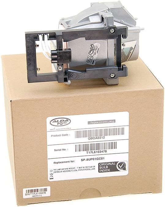Alda PQ Professionell, Beamerlampe kompatibel mit SP.8UP01GC01, BL-FP280I für OPTOMA RW775UTi, W307U