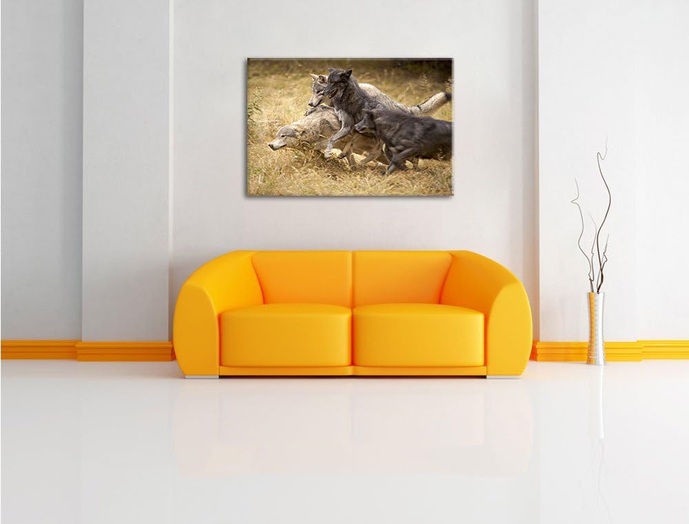 Tobendes Wolfsrudel, Format: 100x70 auf Leinwand, XXL riesige Bilder fertig gerahmt mit Keilrahmen,