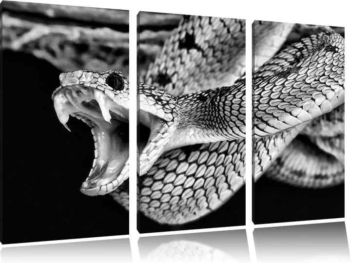 Pixxprint Monocrome, Giftige grüne Schlange 3-Teiler Leinwandbild 120x80 Bild auf Leinwand
