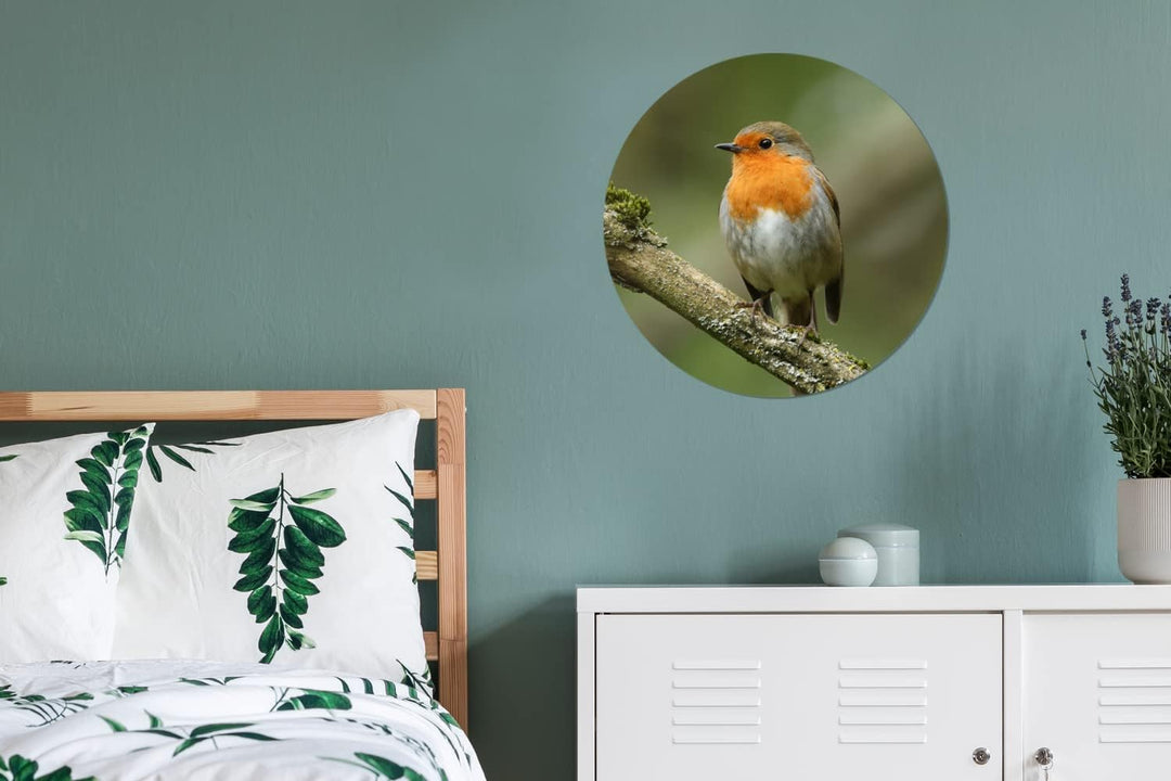 MuchoWow Wandbild Rund Wanddeko Deko Wohnzimmer Bilder 60x60 cm Vogel - Rotkehlchen - Zweig - Pflanz