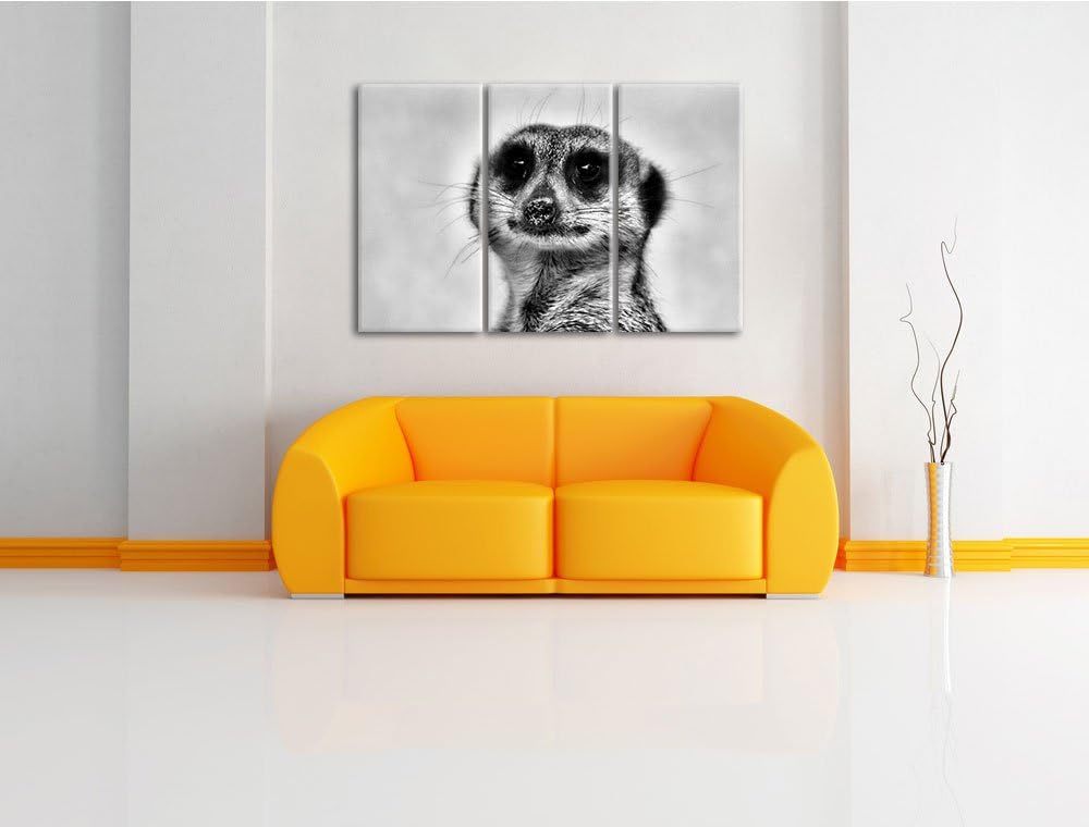 Pixxprint kleines frechen Erdmännchen als Leinwandbild | Grösse: 3 Teilig (120x80) | Wandbild| Kunst