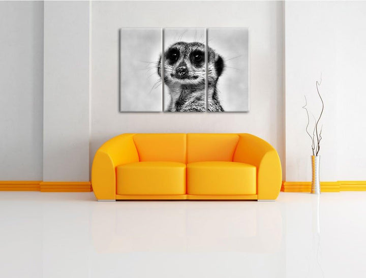 Pixxprint kleines frechen Erdmännchen als Leinwandbild | Grösse: 3 Teilig (120x80) | Wandbild| Kunst