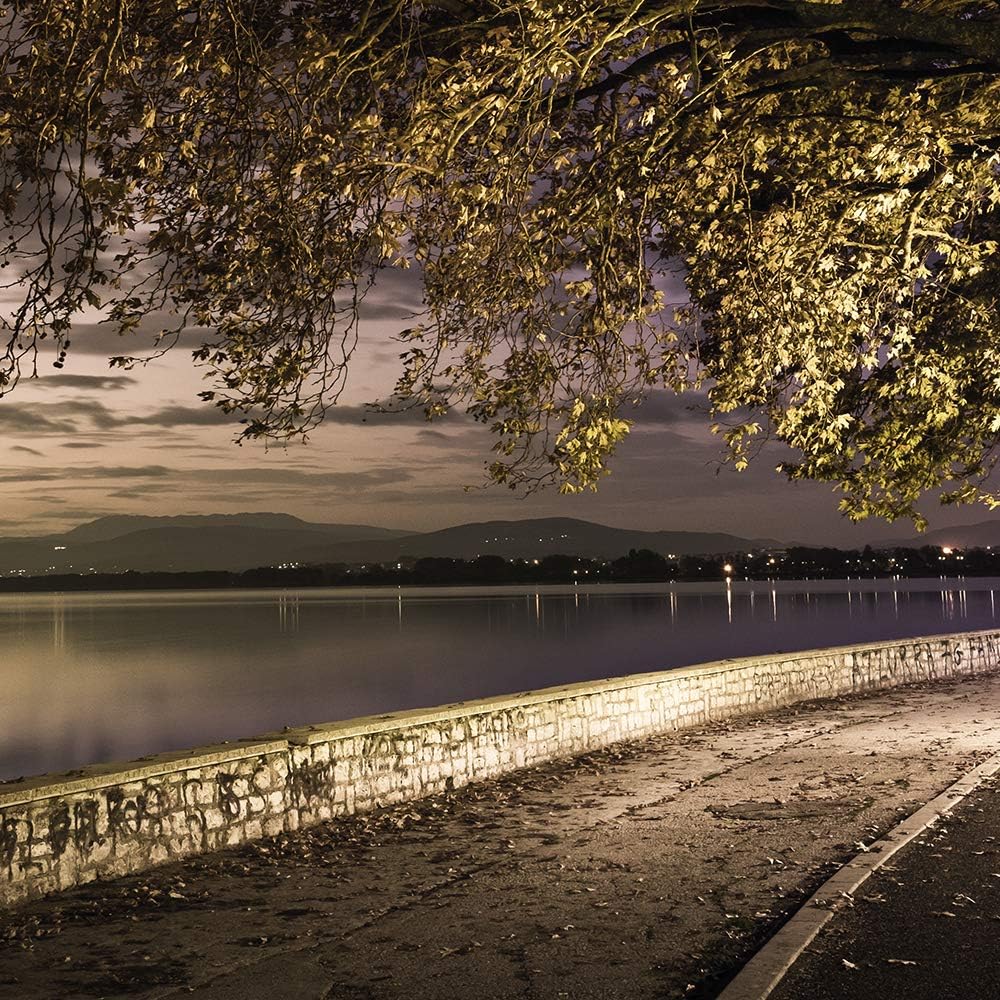 Feeby Wanddeko XXL Landschaft Leinwandbild 5 Teilig Weg Bäume See Abend bunt 250x120 cm Leinwandbild