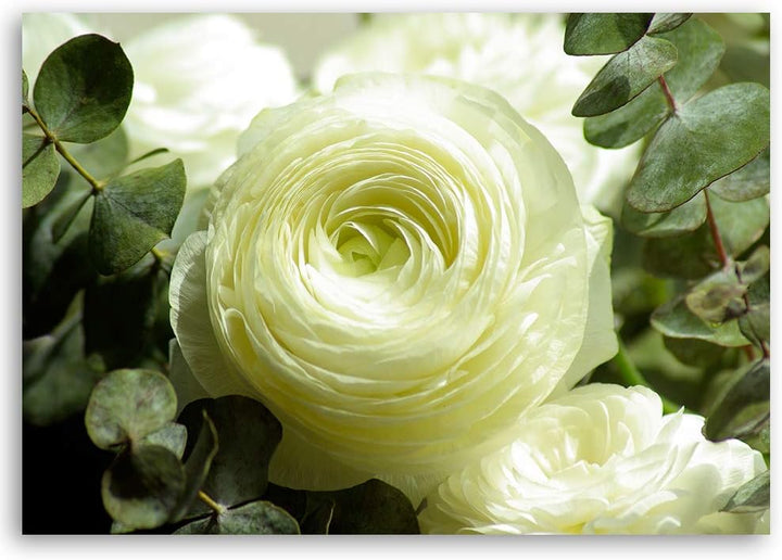 Feeby Dekobild Rose Deko Wand Kunstdruck Pflanze Grün 70x50 cm M14552 70x50 cm, M14552 70x50 cm