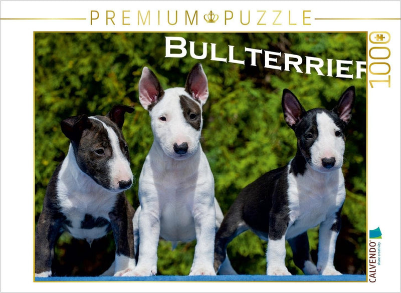 CALVENDO Puzzle Bullterrier 1000 Teile Lege-Grösse 64 x 48 cm Foto-Puzzle Bild von Sista-Tierfoto, 1