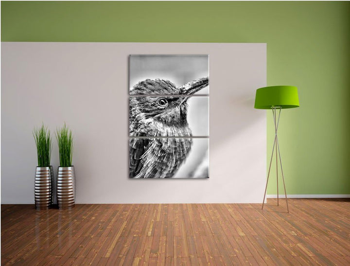 Pixxprint Kleiner tropischer Vogel als Leinwandbild/Grösse: 3 Teilig (120x80) cm/Wandbild/Kunstdruck
