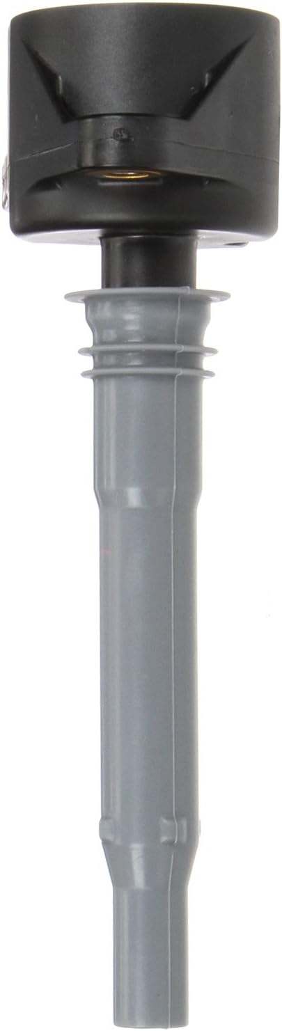 Delphi GN10232-12B1 Zndspule