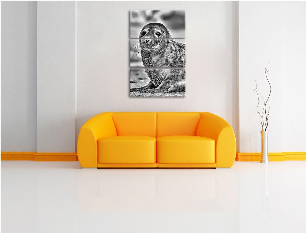 Pixxprint Monocrome, niedliche Robbe am Strand 3-Teiler Leinwandbild 120x80 Bild auf Leinwand