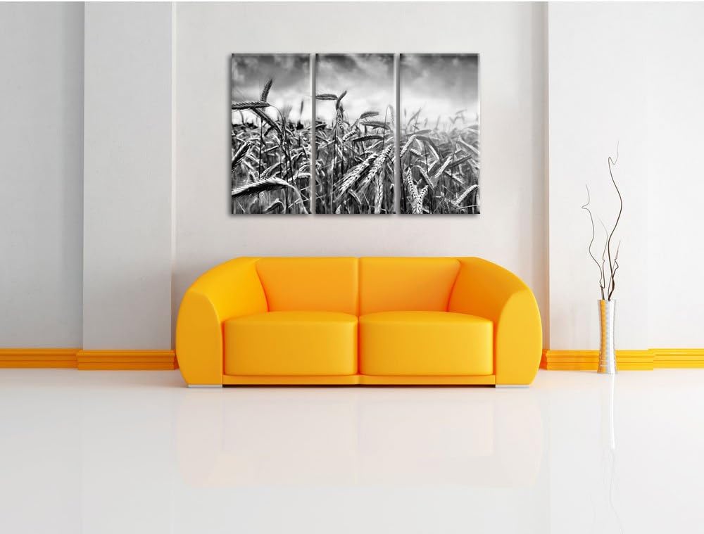 Pixxprint Getreide im Sonnenlicht als Leinwandbild 3 teilig/Grösse: 3 Teilig (120x80) / Wandbild/Kun