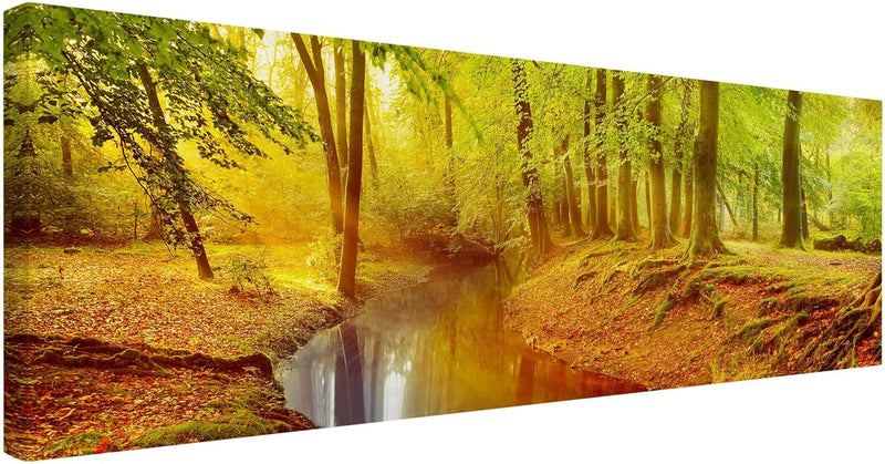 Bilderwelten Leinwandbild - Herbstwald - Panorama Quer, 40cm x 120cm, 40cm x 120cm