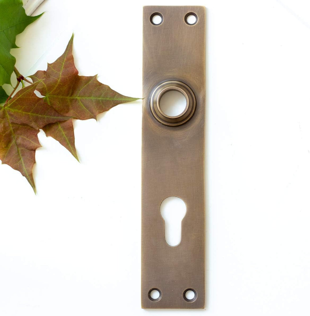 Antikas - Retro Türbeschlag, Langschild "CAVO" in Messing patiniert, PZ72