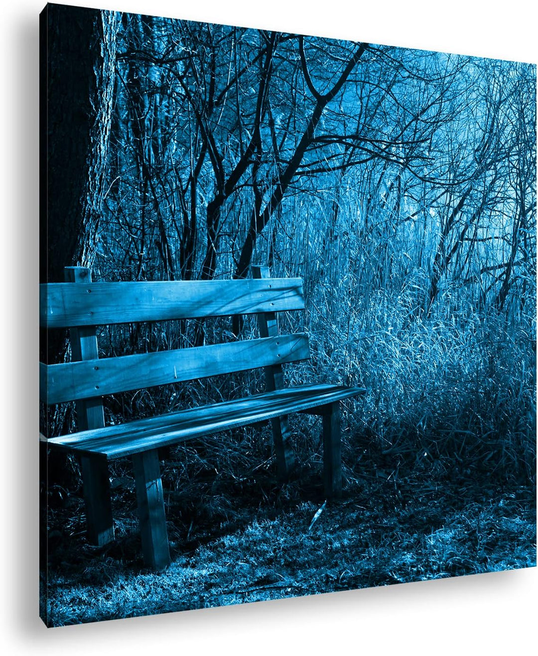 deyoli einsame Bank im Wald Format: 60x60 Effekt: Monocrome Blau als Leinwandbild, Motiv fertig gera