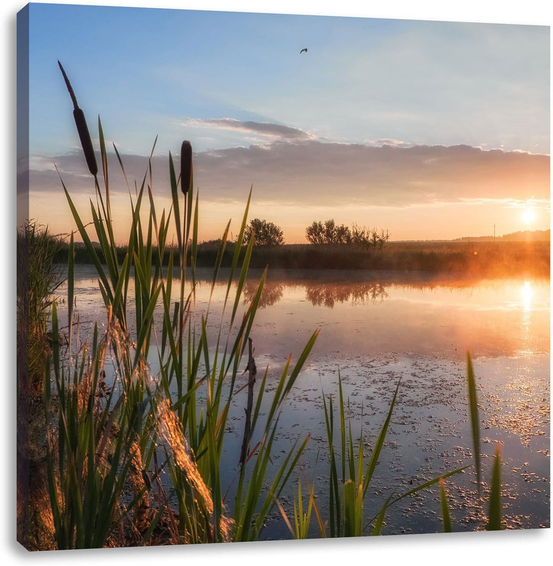 Sonniger Morgen am See, Format: 70x70 auf Leinwand, XXL riesige Bilder fertig gerahmt mit Keilrahmen