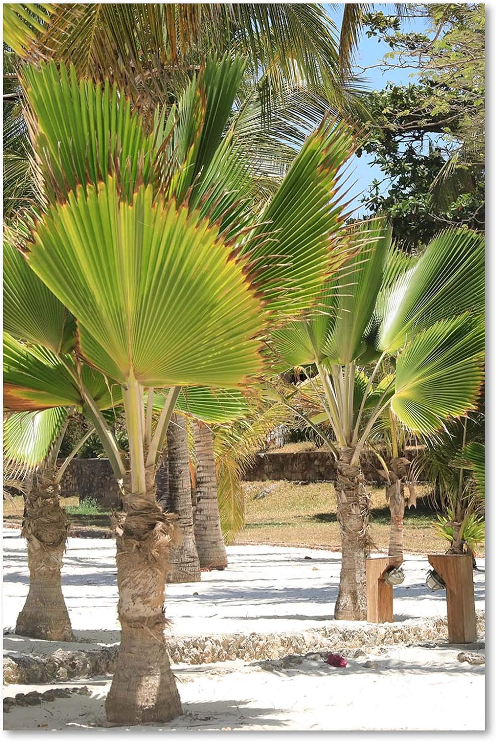 Wandbild XXL Afrika Deko Kunst Bilder exotische Natur Grün 80x120 cm Deko paneel 80x120 cm Grün_B, D