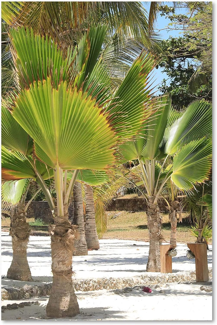 Wandbild XXL Afrika Deko Kunst Bilder exotische Natur Grün 80x120 cm Deko paneel 80x120 cm Grün_B, D