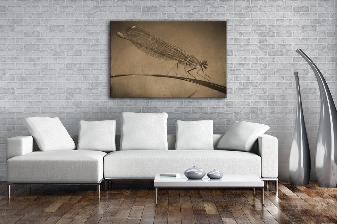 deyoli exotische Libelle Format: 80x60 Effekt: Sepia als Leinwand, Motiv fertig gerahmt auf Echtholz