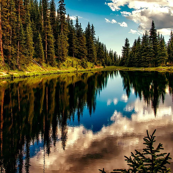 Bilder Landschaft 250x120 cm - Leinwandbild 5 Teilig XXL Kunstdruck See Wald blau Leinwandbild XXL 2