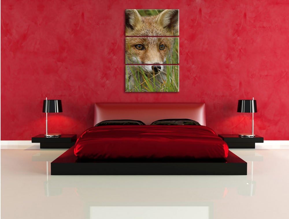 Pixxprint junger Fuchs auf Wiese als Leinwandbild/Grösse: 3 Teilig (120x80) cm/Wandbild/Kunstdruck/f