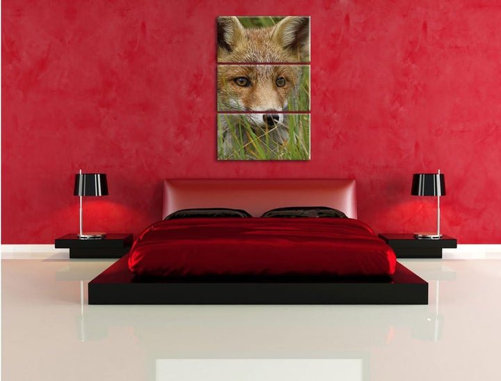 Pixxprint junger Fuchs auf Wiese als Leinwandbild/Grösse: 3 Teilig (120x80) cm/Wandbild/Kunstdruck/f