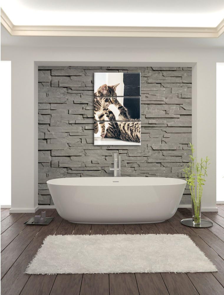 Pixxprint Fighting Cats 3-Teiler Leinwandbild 120x80 Bild auf Leinwand