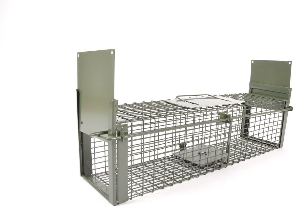 KrapTrap Rattenfalle Lebendfalle I extra gross & stabil I Siebenschläfer I Kleintierfalle I wiederve