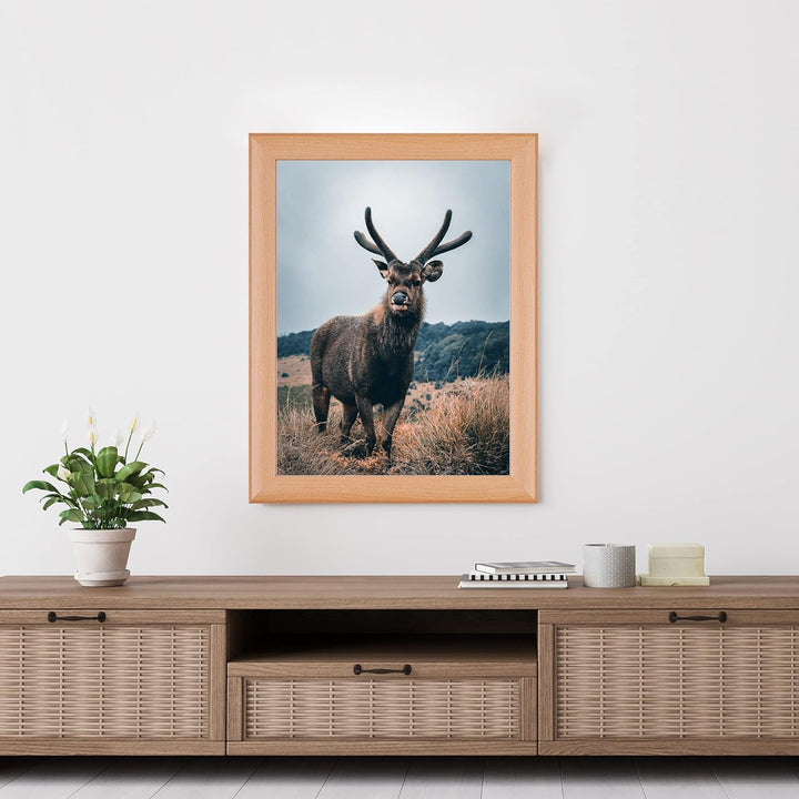 Rahmendesign24 Posterrahmen Fiona 50x70 Buche Fotorahmen, Wechselrahmen, Bilderrahmen