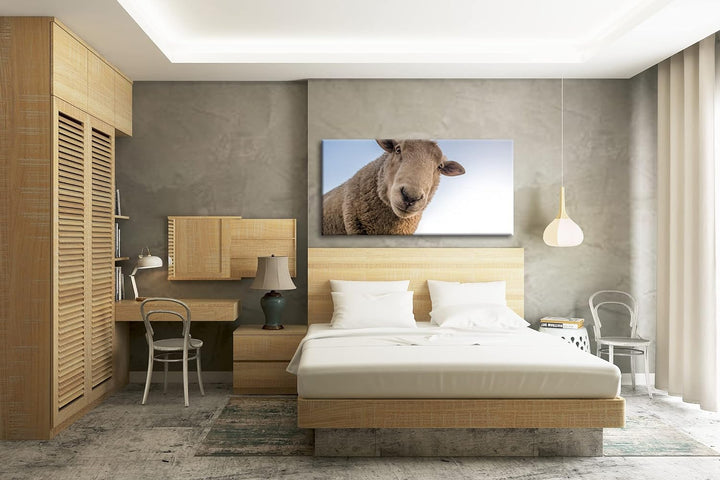 lustiges Schaf Panorama 120x60 cm als Leinwandbild, Motiv fertig gerahmt auf Echtholzrahmen, Hochwer