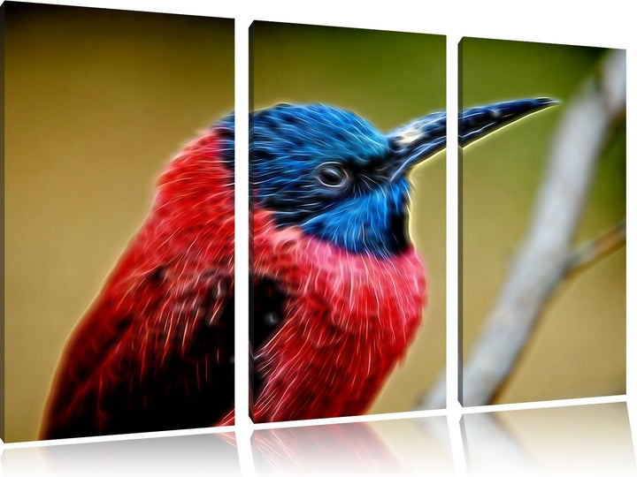 kleiner tropischer Vogel Spezial 3-Teiler Leinwandbild 120x80 Bild auf Leinwand, XXL riesige Bilder
