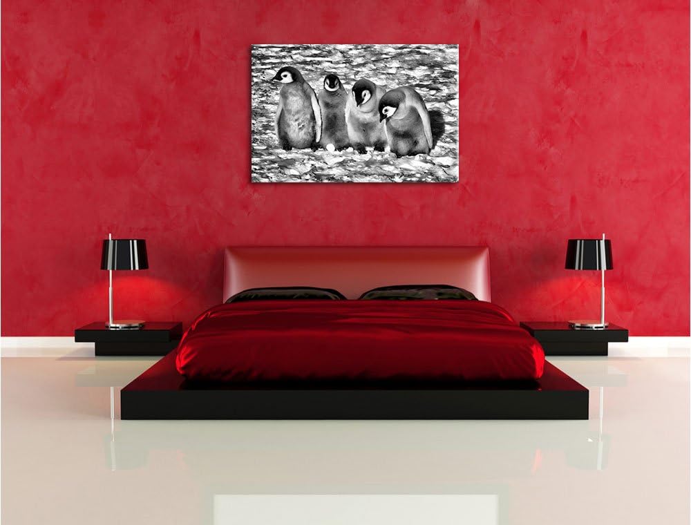 Pixxprint Kaiserpinguinküken / 100x70cm Leinwandbild bespannt auf Holzrahmen/Wandbild Kunstdruck Dek