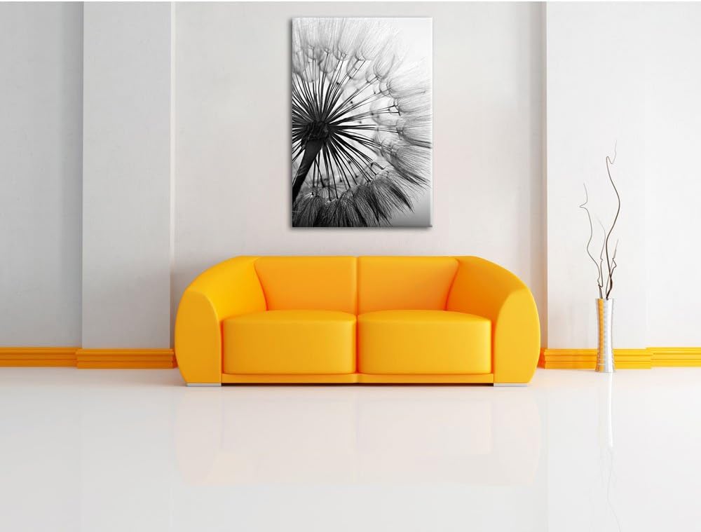 Pixxprint Schöne Pusteblume Schwarz/Weiss, Format: 100x70 auf Leinwand, 100x70
