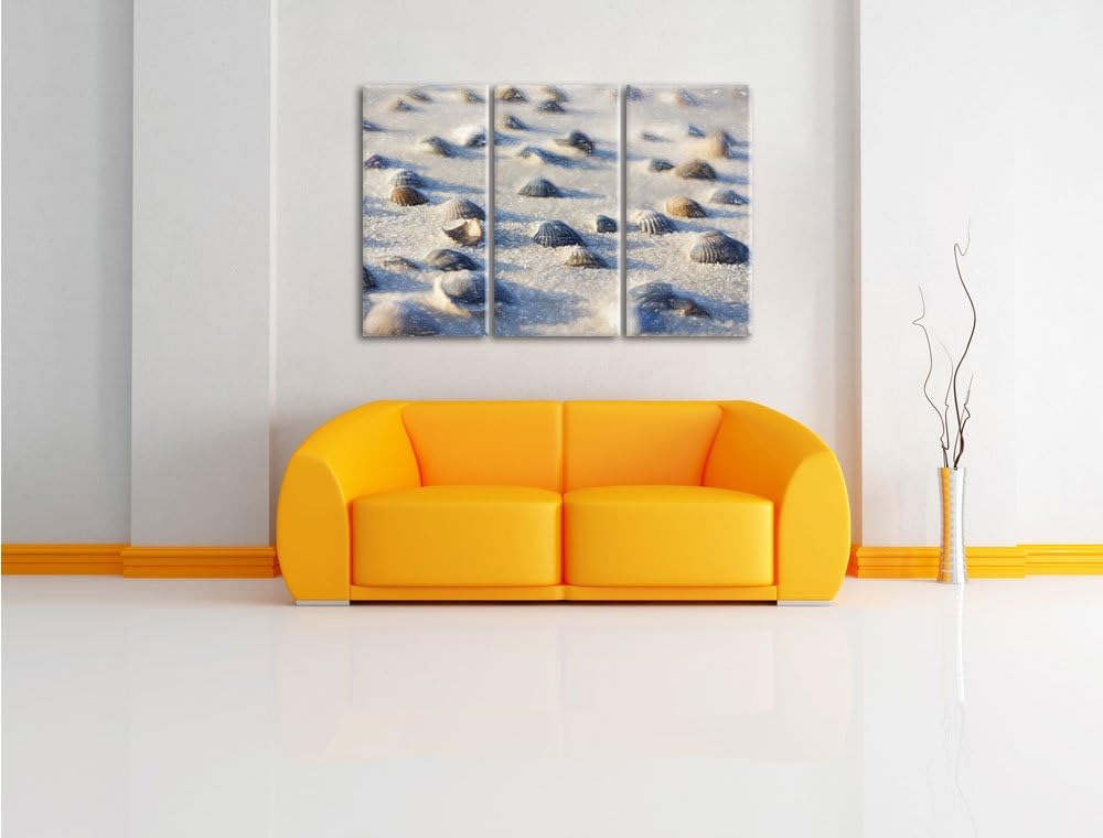 Pixxprint Muscheln im Sand als Leinwandbild/Grösse: 3 Teilig (120x80) / Wandbild/Kunstdruck/fertig b