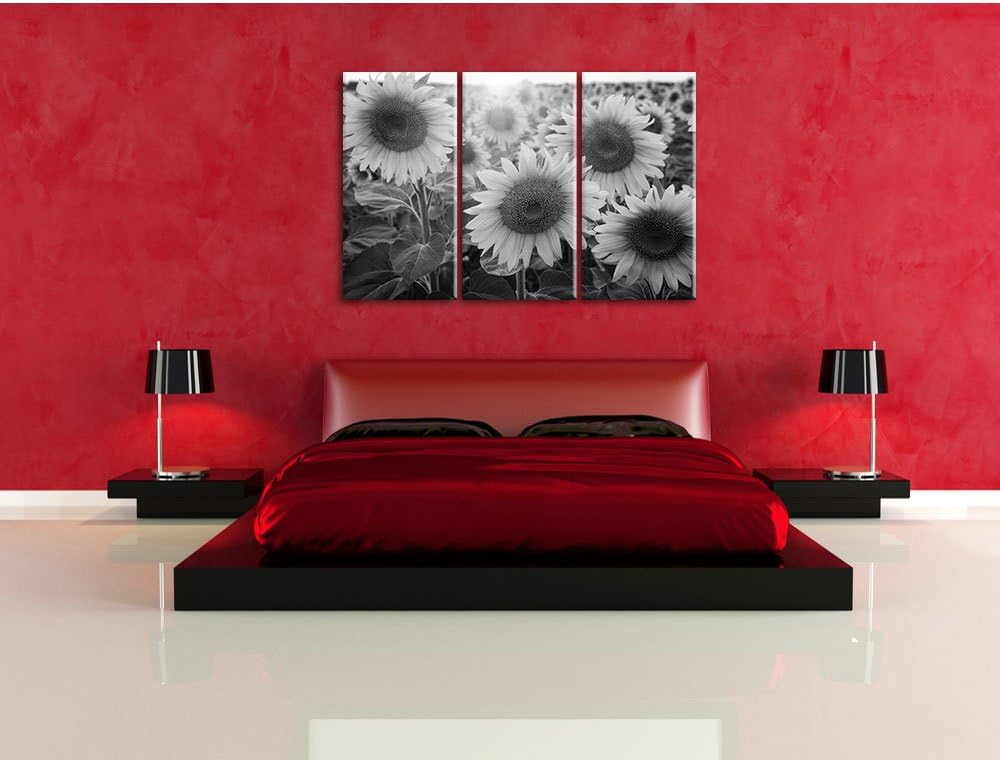 Pixxprint Sonnenblumen auf dem Feld als Leinwandbild | Grösse: 3 Teilig (120x80) | Wandbild| Kunstdr