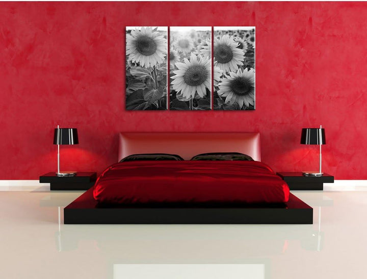 Pixxprint Sonnenblumen auf dem Feld als Leinwandbild | Grösse: 3 Teilig (120x80) | Wandbild| Kunstdr