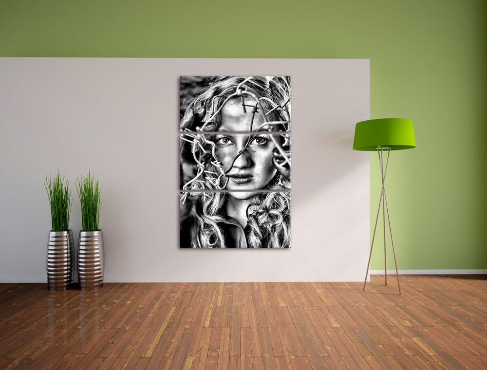 Pixxprint Monocrome, Sexy Girl Stacheldraht 3-Teiler Leinwandbild 120x80 Bild auf Leinwand