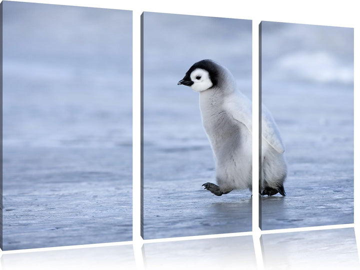 Pixxprint Niedliches Kaiserpinguinkücken als Leinwandbild/Grösse: 3 Teilig (120x80) cm/Wandbild/Kuns